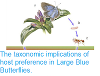 https://sciencythoughts.blogspot.com/2013/03/the-taxonomic-implications-of-host.html