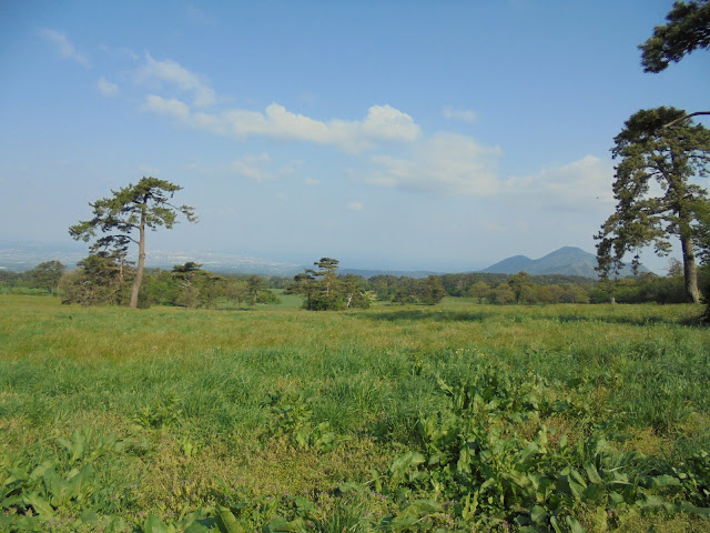 大山牧場みるくの里