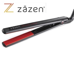 Flat Iron Experts Review