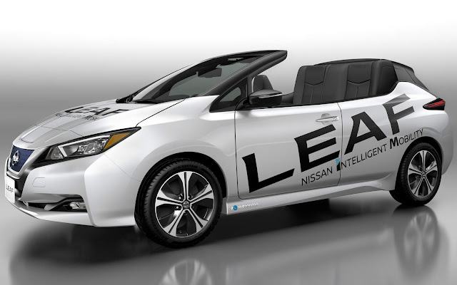 Nissan Leaf Open Car