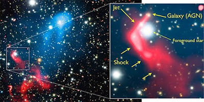  Previamente aceleradas por buracos negros, as partículas são reaceleradas pelas ondas de choque resultantes da colisão. O fenômeno ajuda a entender a estrutura do Universo em larga escala.[Imagem: Reinout J. van Weeren et al. - 10.1038/s41550-016-0005] Dupla aceleração  Astrônomos observaram um acelerador de partículas cósmico de dimensões colossais e descobriram que ele explica ondas de rádio que vêm sendo captadas há algum tempo, mas que ninguém sabia de onde vinham.  O fenômeno resulta da aceleração de uma nuvem gasosa por buraco negro e de sua reaceleração pelas ondas de choque decorrentes da fusão de dois aglomerados de galáxias.  Essa dupla aceleração foi observada e descrita por uma colaboração internacional com a participação de três brasileiros: Felipe Andrade Santos, Vinicius Moris Placco e Rafael Miloni Santucci.  Acelerador de partículas cósmico  Os aglomerados de galáxias são formados por acréscimo gravitacional de matéria e por fusões com outros aglomerados e grupos de galáxias. Nessas fusões, cujas velocidades geralmente superam a velocidade de propagação do som no meio, são geradas ondas de choque que se propagam pelo aglomerado por centenas de milhões de anos. São elas que estão reacelerando as partículas já previamente aceleradas nos centros das galáxias, onde se encontram buracos negros supermassivos.  A colisão investigada no estudo é a dos aglomerados Abell 3411 e Abell 3412, localizados a cerca de 2 bilhões de anos-luz da Terra. Ambos são enormes, com milhões de anos-luz de extensão. E muito massivos, cada qual com aproximadamente 1 quatrilhão de vezes a massa do Sol. Mas o gás de partículas que compõe o aglomerado é extremamente rarefeito, mais rarefeito do que qualquer vácuo produzido em laboratório na Terra, apresentando densidade da ordem de 10-3 a 10-2 partículas por centímetro cúbico.  "Durante a formação do aglomerado, colisões entre partículas do gás que compõe o aglomerado fazem com que a temperatura do meio alcance o patamar de 100 milhões de graus Celsius", informou Felipe.  Devido à altíssima temperatura do gás, a velocidade de propagação do som no meio é da ordem de mil quilômetros por segundo - quase 3 mil vezes maior do que a velocidade de propagação do som na atmosfera terrestre (343 metros por segundo, ao nível do mar e na temperatura de 20 graus Celsius). Mas a velocidade de colisão dos aglomerados pode chegar a ser duas a três vezes maior, de 2000 a 3000 km/s. E é isso que produz as ondas de choque que reaceleram as partículas.  Ondas de rádio misteriosas  A reaceleração de partículas previamente aceleradas faz com que passem a emitir radiação eletromagnética na banda de frequências do rádio. Essa emissão em rádio, que a equipe acredita ter desvendado, era um mistério que vinha desafiando os astrônomos há cerca de duas décadas.  "A primeira detecção de emissões em rádio provenientes das regiões onde ocorrem os choques de aglomerados foi feita há quase 20 anos. Porém, não se sabia explicar como os elétrons eram acelerados ao ponto de emitirem radiação nessa faixa de frequência. Foi tentado um modelo no qual o gás era comprimido pelo choque, fazendo com que as partículas ganhassem energia. Mas as contas não batiam, pois as partículas precisariam ganhar muito mais energia por meio do choque do que era esperado a partir das observações astronômicas.  "Trabalhamos com a hipótese da existência prévia de uma população de elétrons de alta energia, que precisariam apenas de um 'empurrão' final para emitirem em rádio. E isso foi confirmado por nosso estudo. As observações do choque desse par de aglomerados mostraram que a emissão em rádio estava conectada com o jato da galáxia, tornando claro que os elétrons haviam sido inicialmente acelerados pelo buraco negro, que produzira o jato, e, depois, reacelerados pela onda de choque.  "Analisando em detalhes a emissão em rádio, percebemos que os elétrons perdiam energia ao longo do jato e voltavam a ganhar energia na região do choque. O diferencial de nosso trabalho foi encontrar, pela primeira vez, a conexão física entre os dois fenômenos. Com a dupla aceleração, as partículas se tornam um milhão de vezes mais energéticas, passando do patamar do quilo-elétron-volt (keV) para o patamar do giga-elétron-volt (GeV)", explicou Felipe.  FONTE: FAPESP  Bibliografia:  The case for electron re-acceleration at galaxy cluster shocks Reinout J. van Weeren, Felipe Andrade-Santos, William A. Dawson, Nathan Golovich, Dharam V. Lal, Hyesung Kang, Dongsu Ryu, Marcus Brüggen, Georgiana A. Ogrean, William R. Forman, Christine Jones, Vinicius M. Placco, Rafael M. Santucci, David Wittman, M. James Jee, Ralph P. Kraft, David Sobral, Andra Stroe, Kevin Fogarty Nature Astronomy Vol.: 1, Article number: 0005 DOI: 10.1038/s41550-016-0005