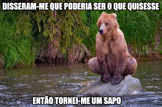 urso sentado de forma que parece um sapo