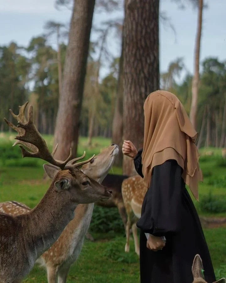 Black Hijab Girl