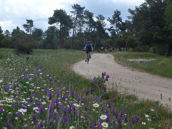 Unas fotos de nuestra ruta de Ávila a El Escorial - Junio 2013