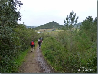 P1000838