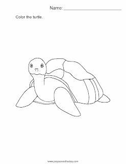 Turtle coloring/worksheet