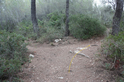 CALAFELL-MONTPAÓ-URBANITZACIÓ VALLDEMAR-TORRE D'EN VIOLA- EL PUJAL-LA TALAIA, camí o corriol al Fondo del Cego i el bosc de la Muntanya del Borrell a Calafell