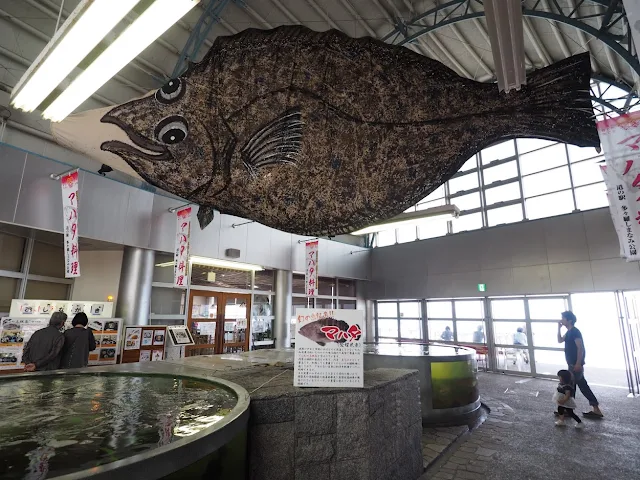 しまなみ海道　大三島　道の駅　多々羅しまなみ公園　マハタ