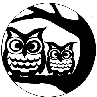 full moon owl