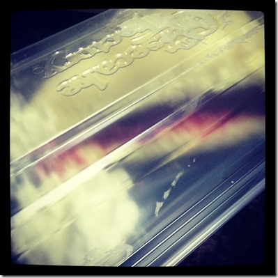 photo 2 (4)