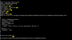 npm-init