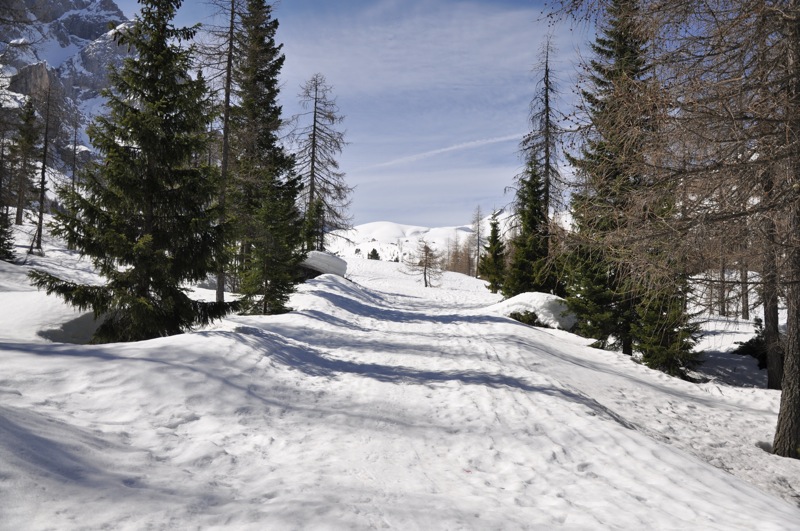 DSC_4620.JPG