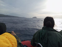 Kummipaadiga ookeanil kaameratega vaalu ja delfiine jahtimas
