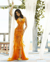 Mamta, mohandas, hot, venkatram, 2012, calendar, photos
