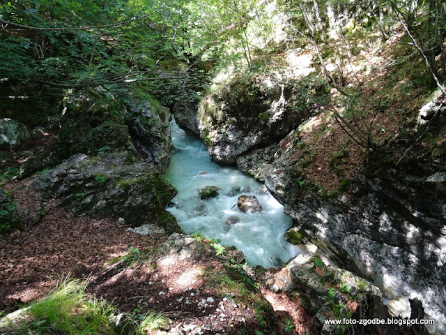 Slovenija, Primorska