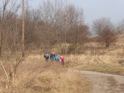 Zakrzówek, spacer na Zakrzówku, grzyby na Zakrzówku, Xylaria-polymorpha-próchnilec-maczugowaty, kisielnica-kedzierzawa-Exidia-plana, Flammulina-velutipes-płomiennica-zimowa