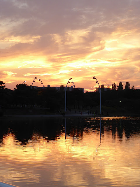 花博記念公園鶴見緑地 夕焼け空