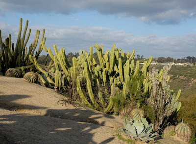 Balboa Park, The Desert Garden