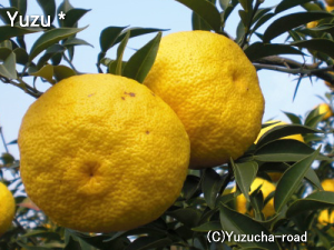 冬至には柚子湯