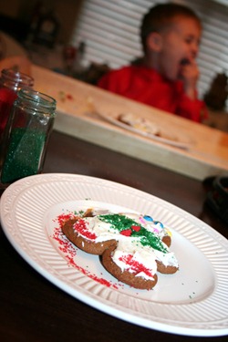 Slickpaw's Christmas 2010 067