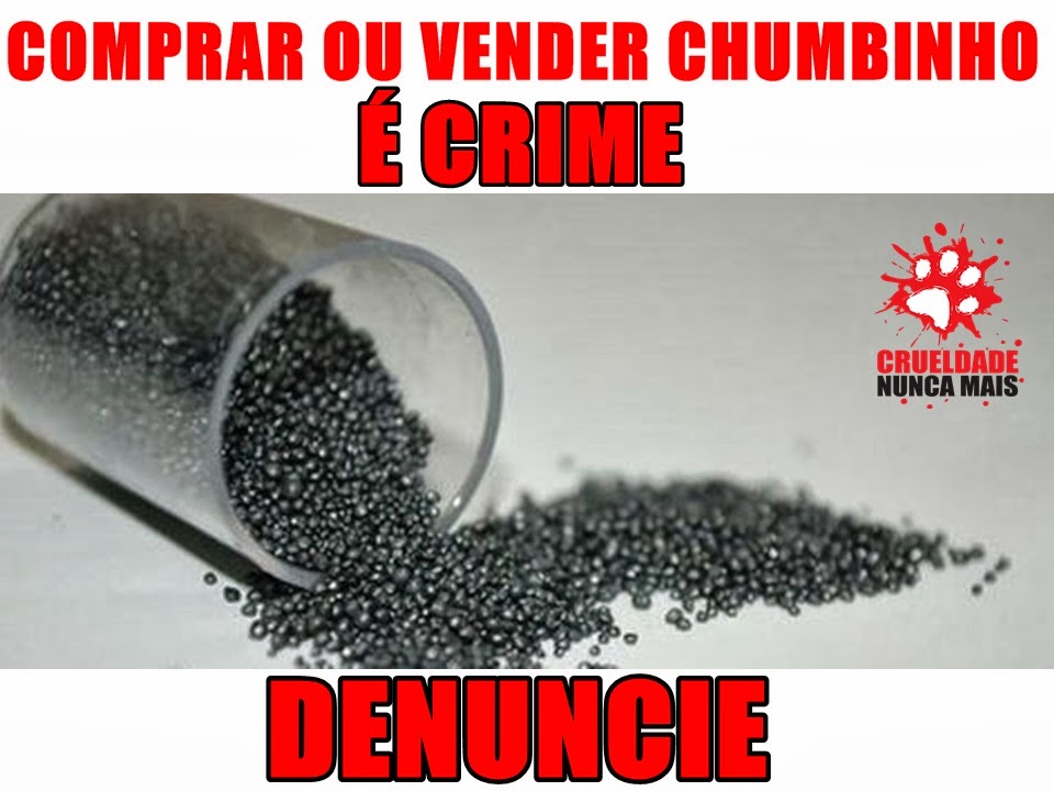 Blog Do Quintal Vender Chumbinho E Crime