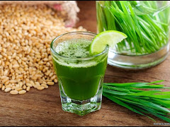 WheatGrass, Superfood Terbaik Untuk Kesihatan Usus