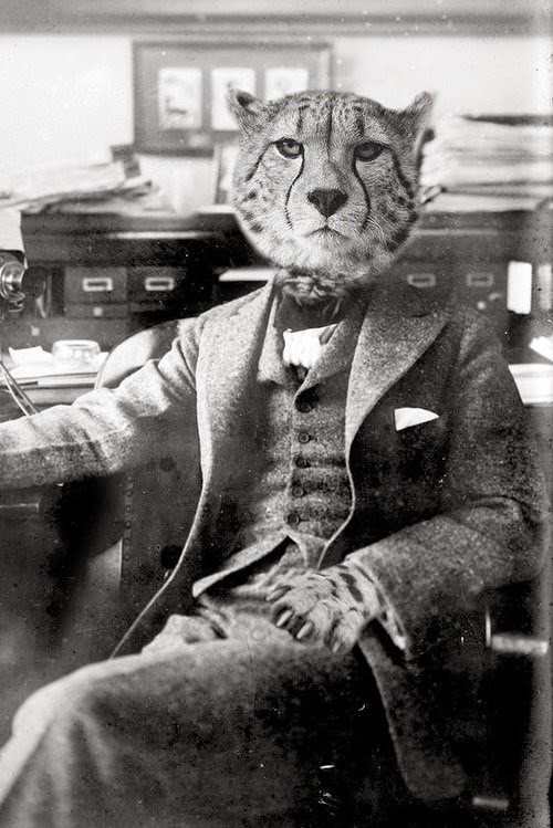 01-Alexander-Houlton-Animals-in-Clothes-in-a-Parallel-Universe-www-designstack-co