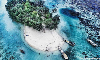 Hasil gambar untuk pulau dolphin