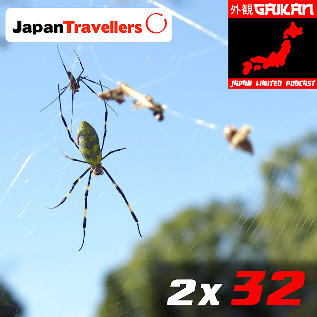  Insectos en Japón. Arañas y otras especies que encuentras en el país