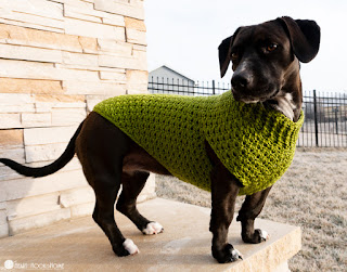 Dog Sweater Crochet Color Ideas