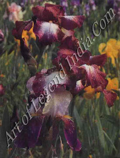 Purple irises Monet loved irises, and planted them all round the fringes of the waterlily pond; they appear in many of his later paintings. 'I perhaps owe having become a painter to flowers', he once said. 