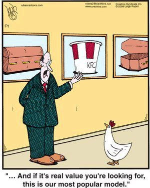 Image result for funny chicken cartoon with funny text