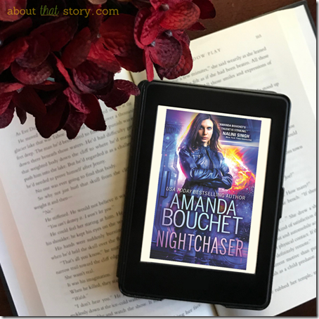 Book Review: Nightchaser (Endeavor #1) by Amanda Bouchet | About That Story