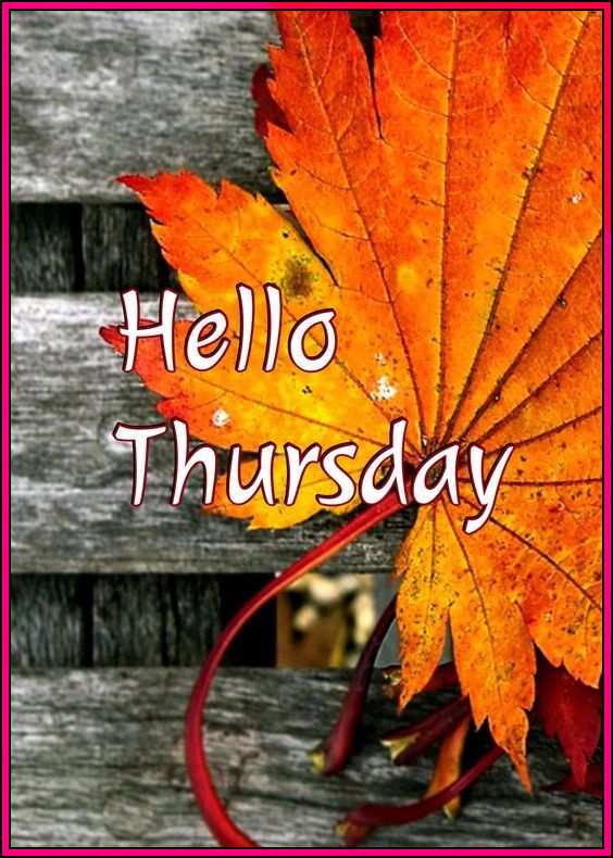 thursday hello
