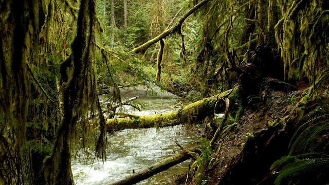 Benson Creek (2012-03-30) 