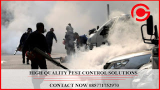 Call : 085771752970 Jasa Fogging Nyamuk di Bantar Gebang Bekasi Call : 085771752970 Jasa Fogging Nyamuk di Bantar Gebang Bekasi