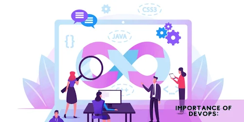 devops methodology organization