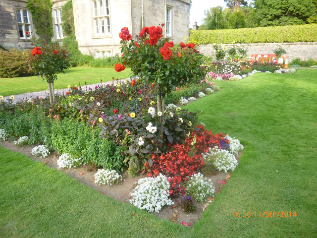 Muckross House & Garden 