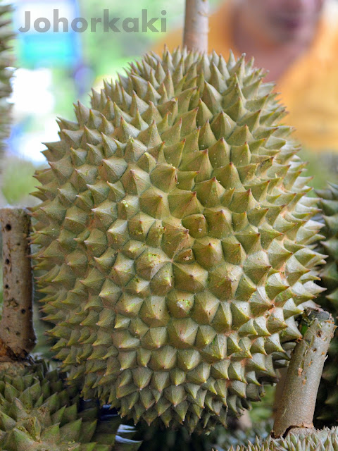 Mao-Shan-Wang-Durian