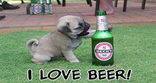 i_love_beer-1950