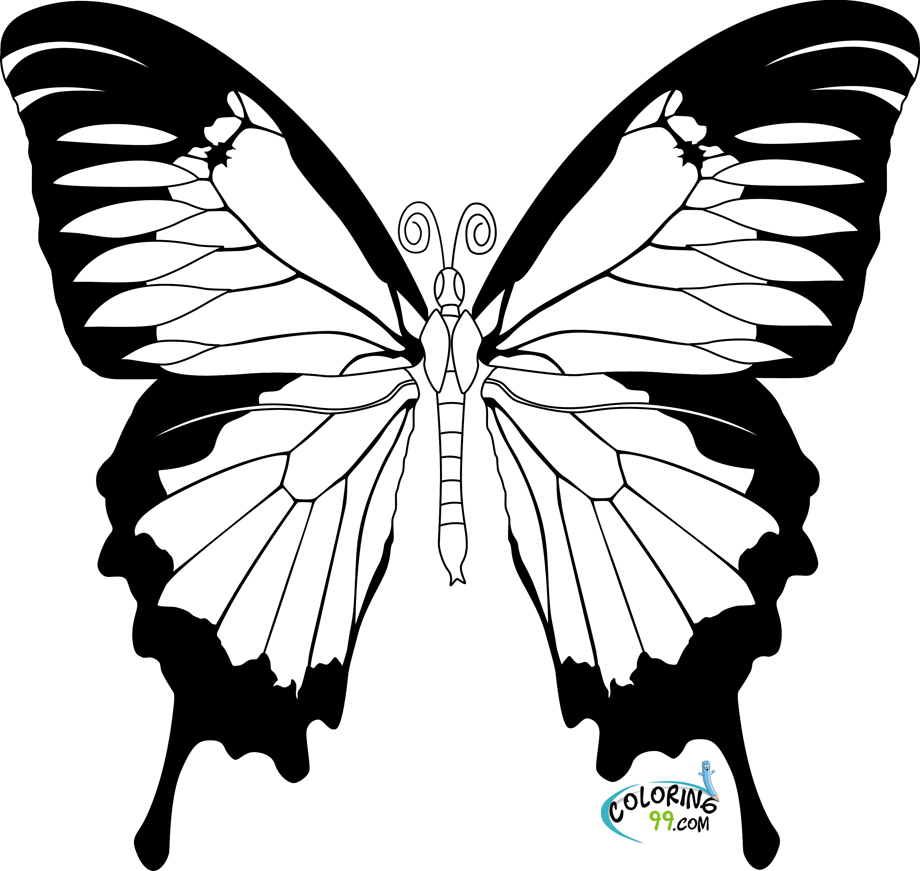 Butterfly Coloring Pages | Team colors