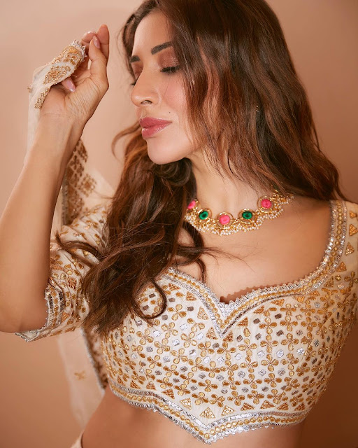 Sophie Choudry,Sophie Choudry actress,