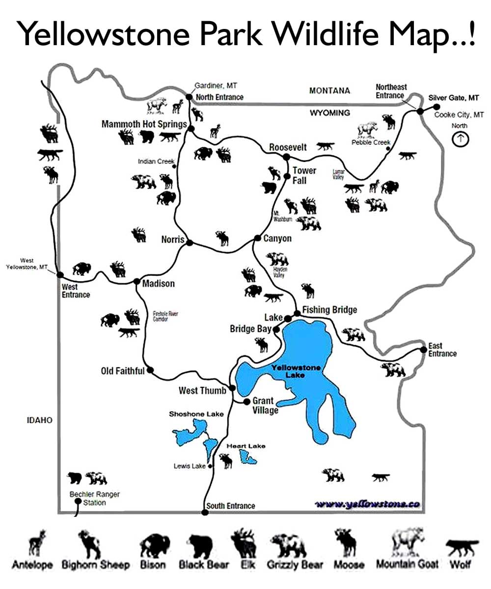 yellowstone national park map for kids Free Coloring Pages Printable Pictures To Color Kids Drawing Ideas yellowstone national park map for kids