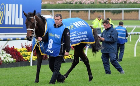 cox plate_winx 17