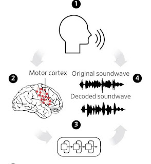 Speech Synthesis From Brain