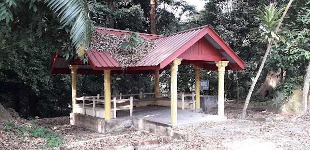 Hutan Simpan Paya Pasir