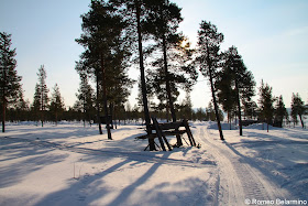 Reindeer Sledding Trail Outdoor Winter Activities in Sweden's Lapland