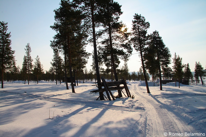 Reindeer Sledding Trail Outdoor Winter Activities in Sweden's Lapland