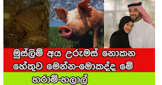 Why Muslims do not eat pork -- what is Haram - Halal?