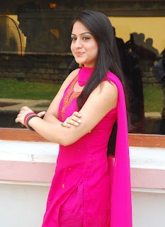 Aksha Cute Looking Photos In Pink Dress